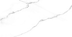 Discovery Blanco Керамогранит белый SG606922R 60х60 полированный_0