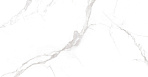 Statuario White PRO Керамогранит белый 60х120 матовый R10GR CB_0