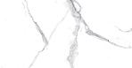 Calacatta Splendid Silver Керамогранит белый 80х80 Полированный_1