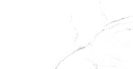 Discovery Blanco Керамогранит белый SG606922R 60х60 полированный_1