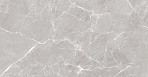 Mramor Chic Silver Керамогранит серый 60х60 Полированный_5