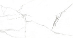 Pristine White Керамогранит белый 60x120 Полированный_3