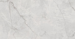 Connect Gris Керамогранит серый SG619922R 60х60 полированный_1