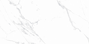 Statuario Justice Grey Керамогранит белый 60х120 Матовый